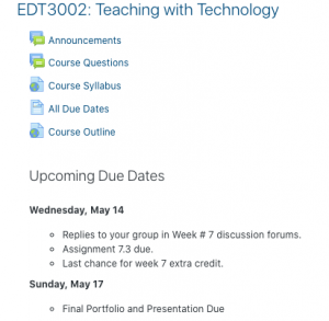 Teaching with Technology Course Information Example